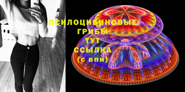 молекула духа Заводоуковск