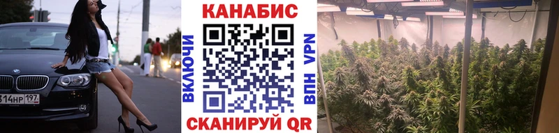Шишки марихуана планчик Гороховец